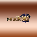 Audio302