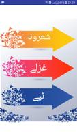 Pashto Mix Poetry স্ক্রিনশট 2