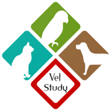 Vet Study: Veterinary Learning
