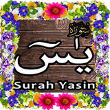 Surah Yasin, (سورة يس ) Surah YASEEN Ya-Seen Read icône