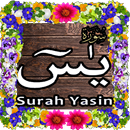 Surah Yasin, (سورة يس ) Surah YASEEN Ya-Seen Read APK