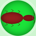 Hit the Ants