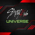 STRAY KIDS UNIVERSE