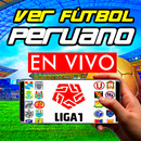 Partidos de Perú 2022 en Vivo APK