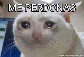 Me perdonas 😭 capture d'écran 2