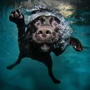 Ideas Resina Epoxy APK