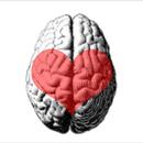 NeuroMarketing 🧠 Fundamentals APK