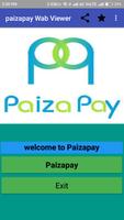 Paiza Pay Wab Viewer 海报
