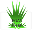 EGAS FleeT 图标