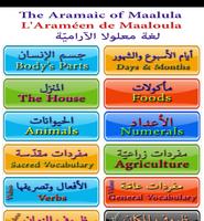 Aramaic 截图 1