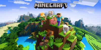 Skins For Minecraft Plakat