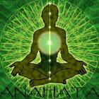 Heart Chakra Healing Secrets icono