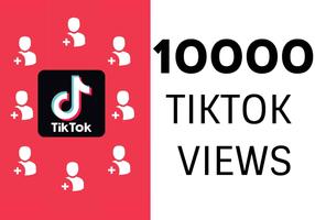 Tiktok - Followers Cheat capture d'écran 1