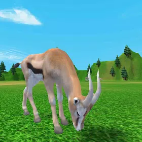 Deer animal offline game 2025