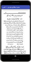 حضرت عبداللہ ابنِ عباس کے ۱۰۰  screenshot 2
