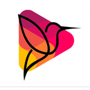 Pacoti Web Fm APK