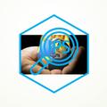 IPS SMP