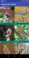 Oiseaux des Jardins الملصق