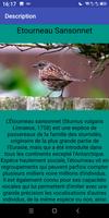 Oiseaux des Jardins تصوير الشاشة 1