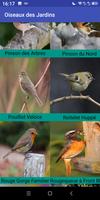 Oiseaux des Jardins تصوير الشاشة 2