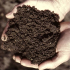 Vermicomposting أيقونة