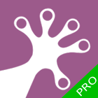 KESSPay PRO icon