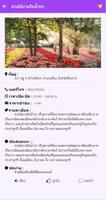 Chiang Rai Travel Guide screenshot 3