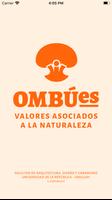 پوستر Proyecto OMBÚes. Valores asoci