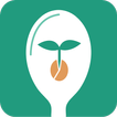 Seed to Spoon - Growing Food