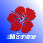 Matou icône