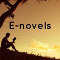 E novel