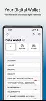 Data Wallet captura de pantalla 2