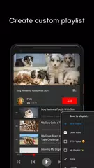 Video Stream : Trending videos APK download