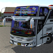 ”Mod Bussid STJ Kids Panda