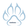 Luminous Bear Shopping
