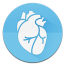 APK Anatomy & Physiology