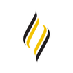 Avondale University