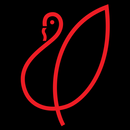 National Turkey Federation APK