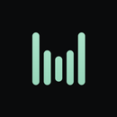 Wisper AI: Voice-to-Text Notes APK