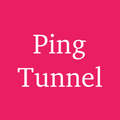 Pingtunnel Plugin - SagerNet