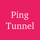 Pingtunnel Plugin - SagerNet icon