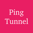 Pingtunnel Plugin - SagerNet icône