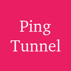 Pingtunnel Plugin - SagerNet-icoon
