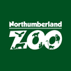 Northumberland Zoo APK