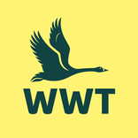 WWT Washington