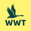 WWT Washington иконка