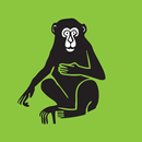 Trentham Monkey Forest-APK