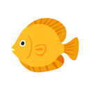 Softy Fish APK