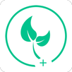 SeedIT APK