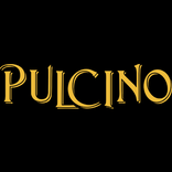Pulcino